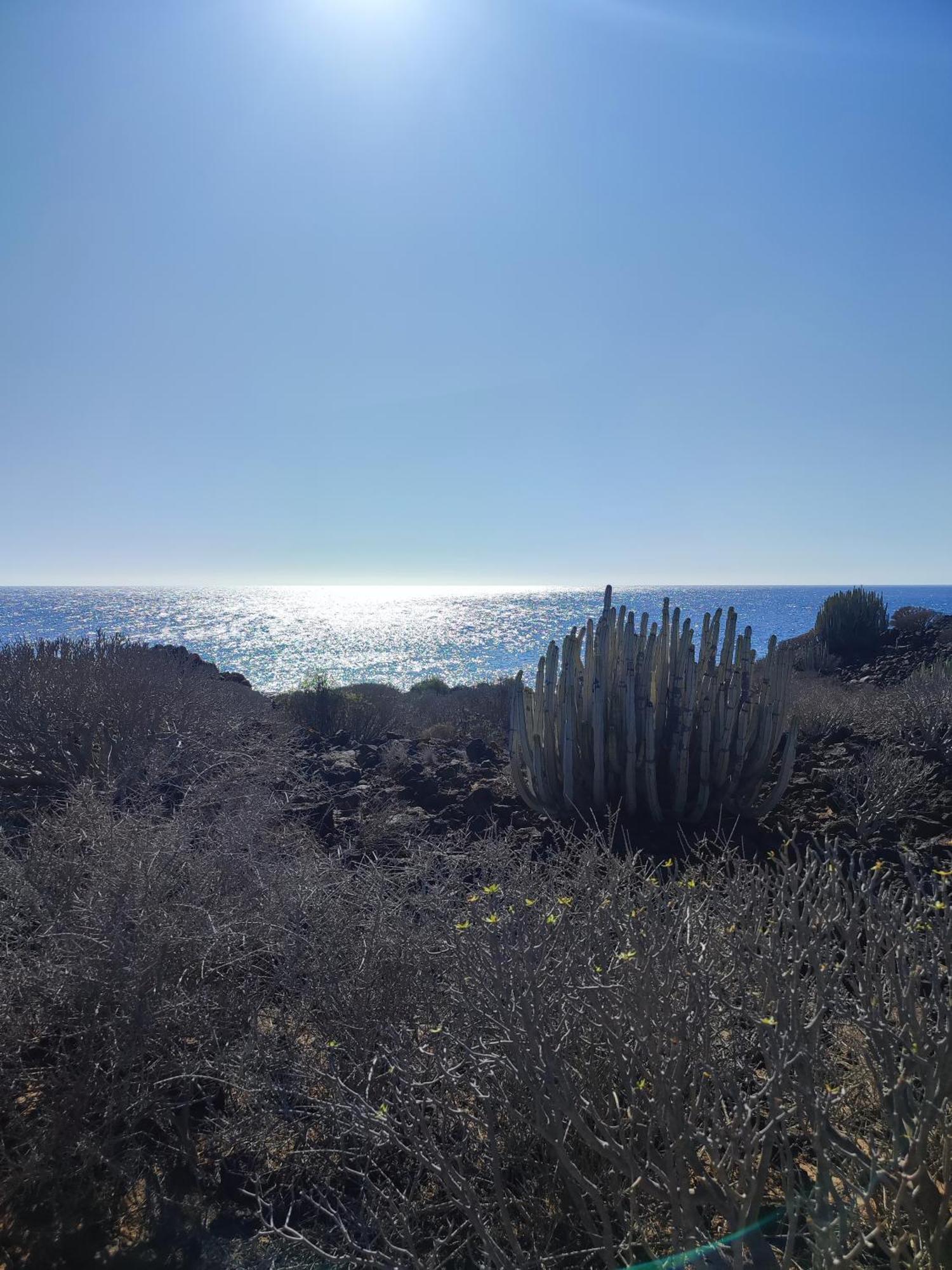 Margherita House Tenerife, Wonderful Ocean View パルム・マール エクステリア 写真